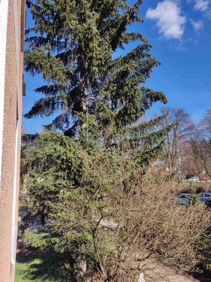 Two Bedroom - Adelko *